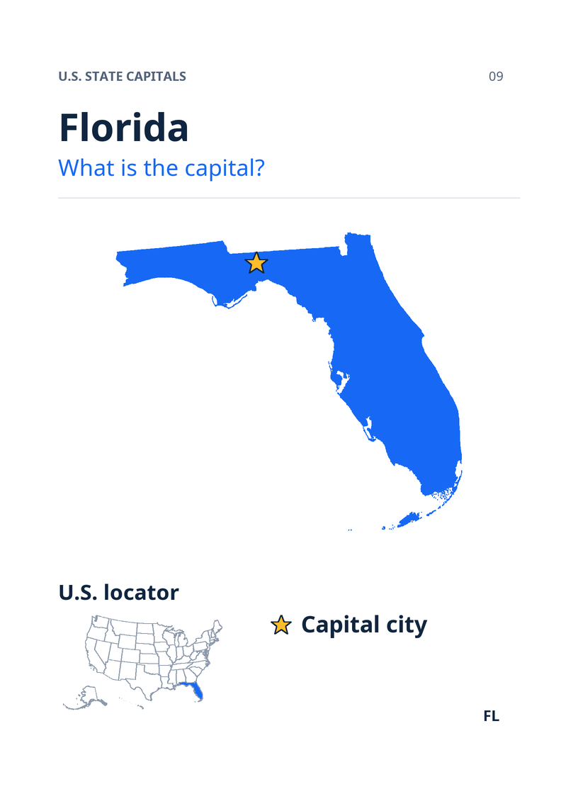 Florida prompt artwork